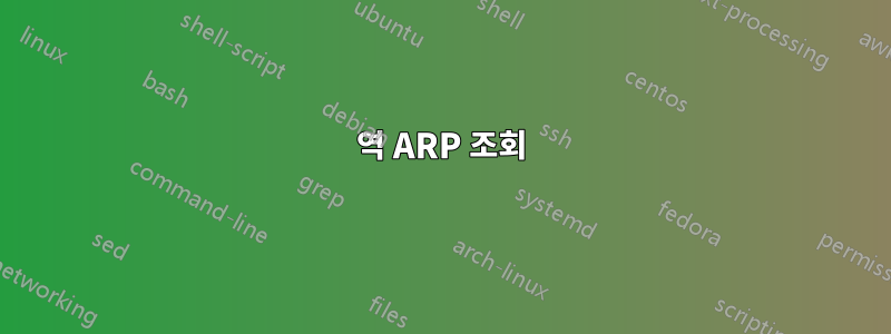 역 ARP 조회