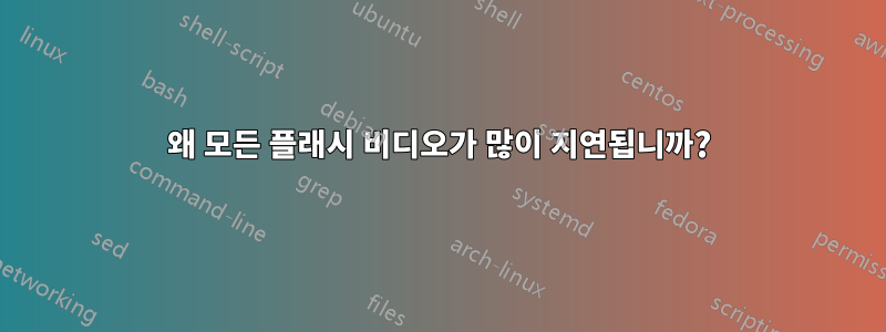 왜 모든 플래시 비디오가 많이 지연됩니까?