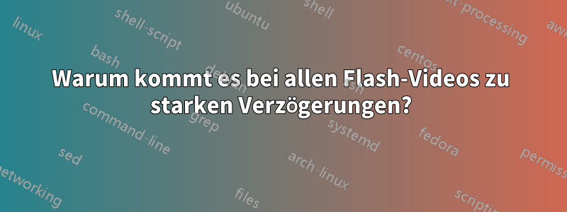 Warum kommt es bei allen Flash-Videos zu starken Verzögerungen?