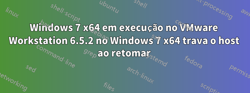 Windows 7 x64 em execução no VMware Workstation 6.5.2 no Windows 7 x64 trava o host ao retomar