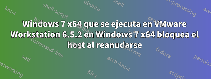 Windows 7 x64 que se ejecuta en VMware Workstation 6.5.2 en Windows 7 x64 bloquea el host al reanudarse