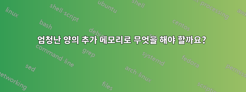 엄청난 양의 추가 메모리로 무엇을 해야 할까요?