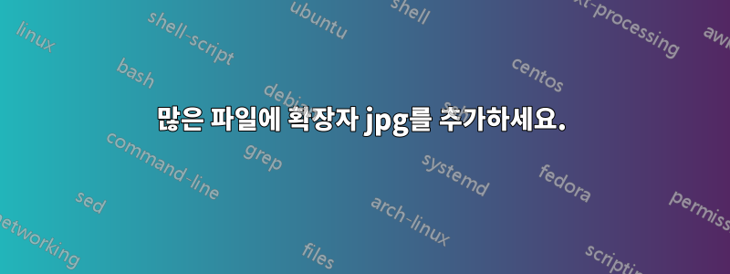 많은 파일에 확장자 jpg를 추가하세요.