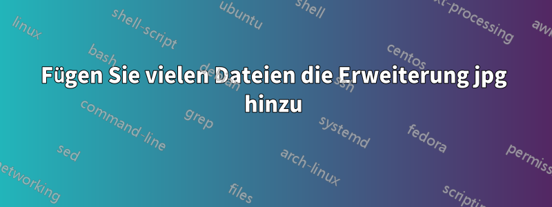 Fügen Sie vielen Dateien die Erweiterung jpg hinzu