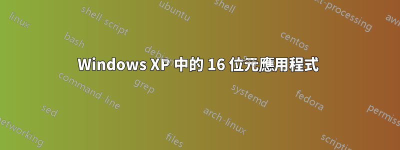 Windows XP 中的 16 位元應用程式