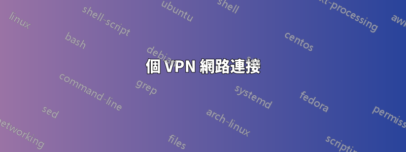 2 個 VPN 網路連接