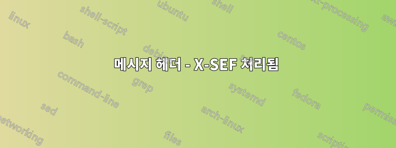 메시지 헤더 - X-SEF 처리됨