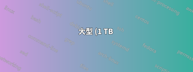 大型 (1 TB) 外部硬碟應使用哪種檔案系統?