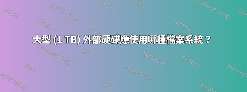 大型 (1 TB) 外部硬碟應使用哪種檔案系統？