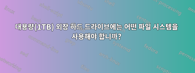 대용량(1TB) 외장 하드 드라이브에는 어떤 파일 시스템을 사용해야 합니까?