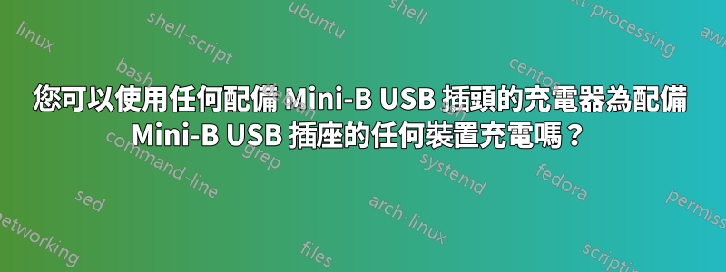 您可以使用任何配備 Mini-B USB 插頭的充電器為配備 Mini-B USB 插座的任何裝置充電嗎？