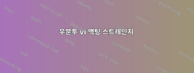 우분투 vi 액팅 스트레인지