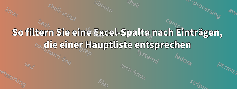 So filtern Sie eine Excel-Spalte nach Einträgen, die einer Hauptliste entsprechen