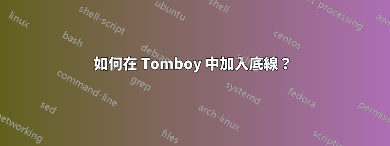 如何在 Tomboy 中加入底線？