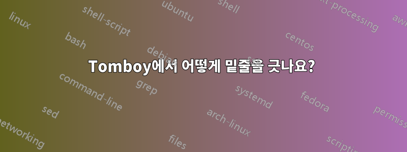 Tomboy에서 어떻게 밑줄을 긋나요?