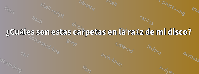 ¿Cuáles son estas carpetas en la raíz de mi disco?