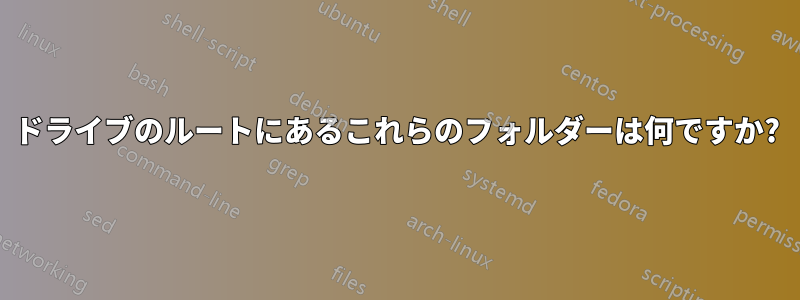 ドライブのルートにあるこれらのフォルダーは何ですか?