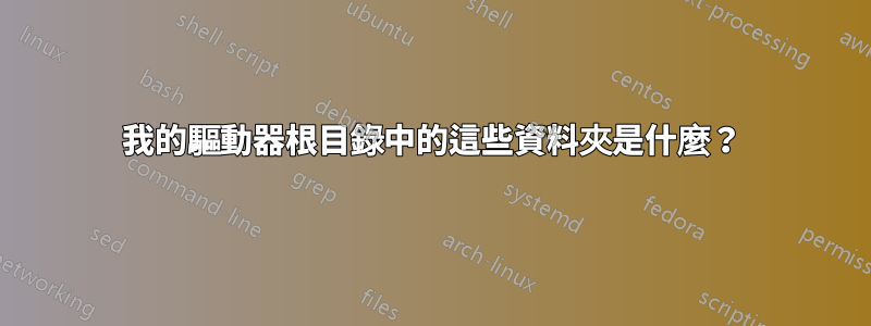 我的驅動器根目錄中的這些資料夾是什麼？