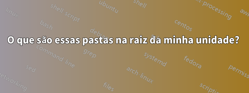 O que são essas pastas na raiz da minha unidade?