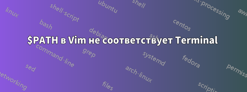 $PATH в Vim не соответствует Terminal