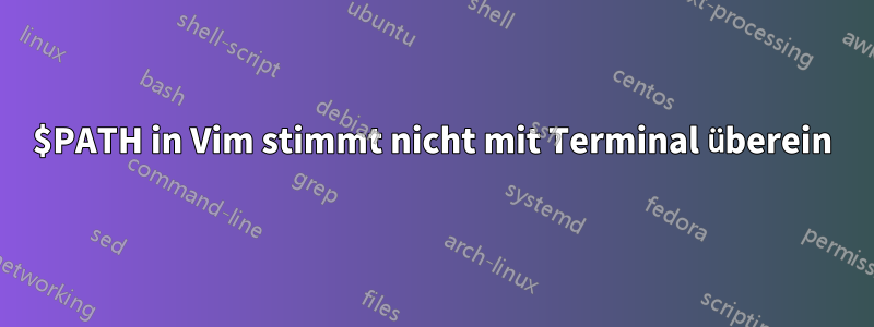 $PATH in Vim stimmt nicht mit Terminal überein