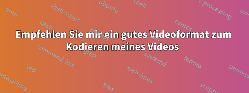 Empfehlen Sie mir ein gutes Videoformat zum Kodieren meines Videos 