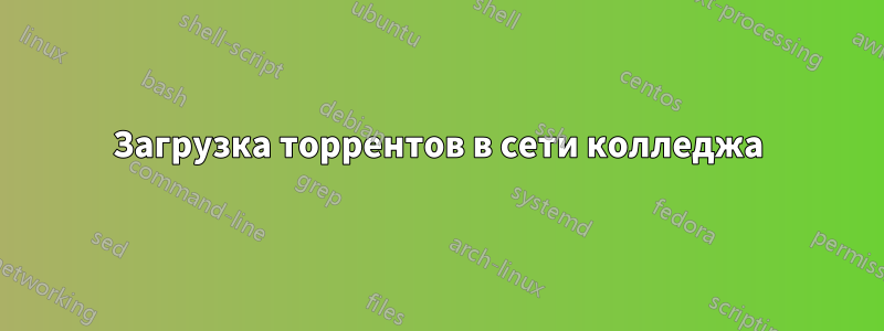 Загрузка торрентов в сети колледжа