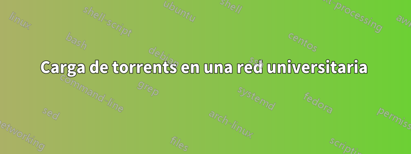 Carga de torrents en una red universitaria