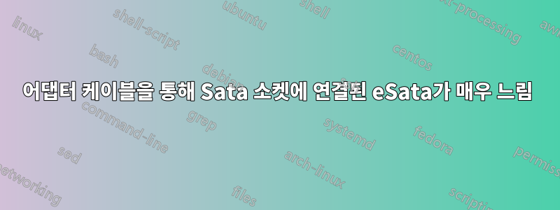 어댑터 케이블을 통해 Sata 소켓에 연결된 eSata가 매우 느림