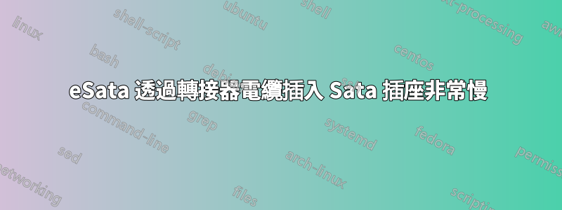 eSata 透過轉接器電纜插入 Sata 插座非常慢