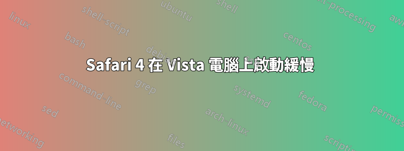 Safari 4 在 Vista 電腦上啟動緩慢