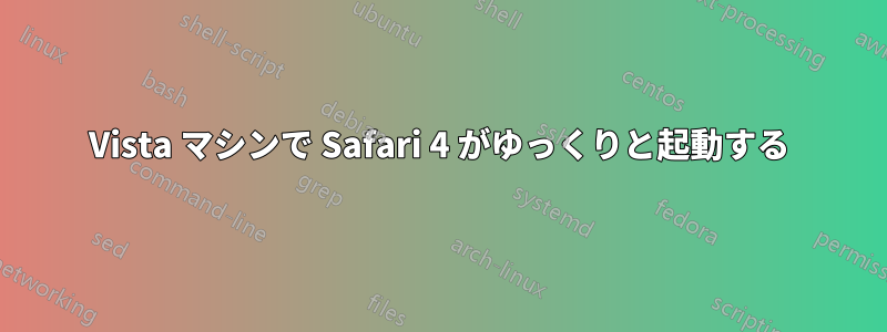 Vista マシンで Safari 4 がゆっくりと起動する