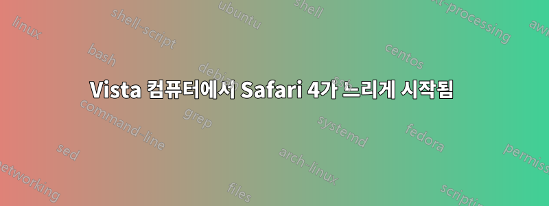 Vista 컴퓨터에서 Safari 4가 느리게 시작됨