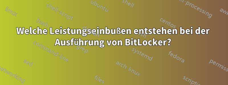 Welche Leistungseinbußen entstehen bei der Ausführung von BitLocker?