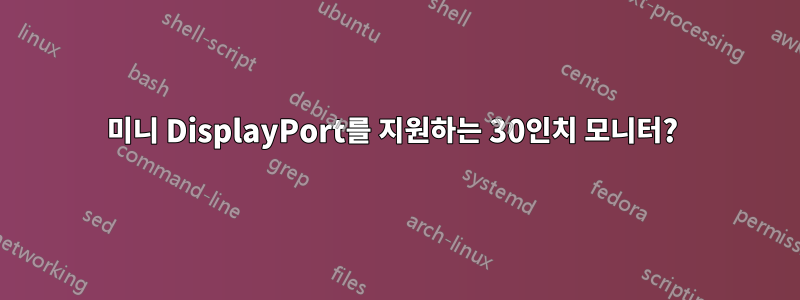 미니 DisplayPort를 지원하는 30인치 모니터? 