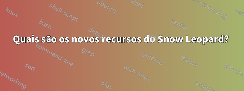 Quais são os novos recursos do Snow Leopard?