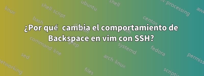 ¿Por qué cambia el comportamiento de Backspace en vim con SSH?