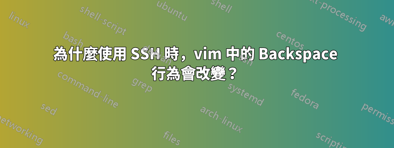 為什麼使用 SSH 時，vim 中的 Backspace 行為會改變？