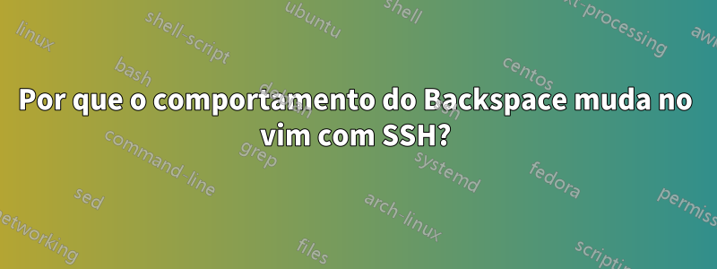 Por que o comportamento do Backspace muda no vim com SSH?