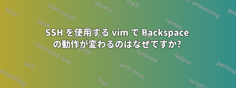 SSH を使用する vim で Backspace の動作が変わるのはなぜですか?