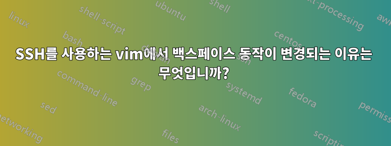 SSH를 사용하는 vim에서 백스페이스 동작이 변경되는 이유는 무엇입니까?