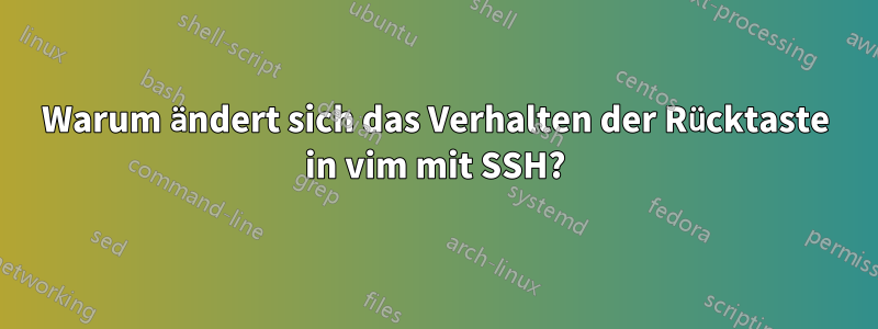 Warum ändert sich das Verhalten der Rücktaste in vim mit SSH?