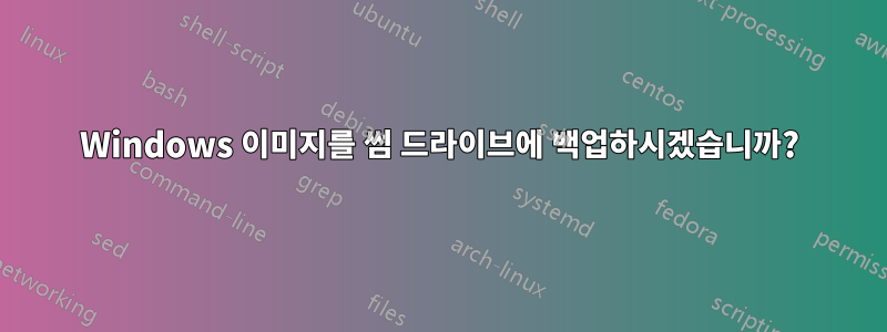 Windows 이미지를 썸 드라이브에 백업하시겠습니까?