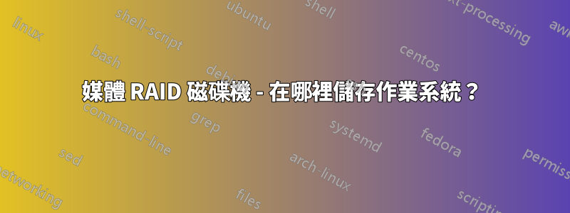 媒體 RAID 磁碟機 - 在哪裡儲存作業系統？