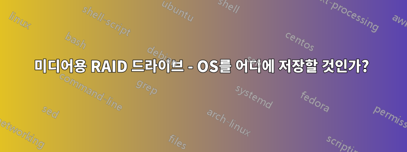 미디어용 RAID 드라이브 - OS를 어디에 저장할 것인가?