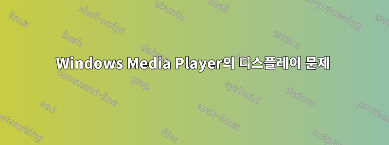 Windows Media Player의 디스플레이 문제