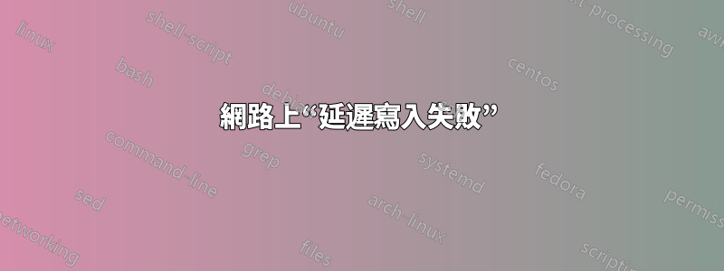 網路上“延遲寫入失敗”