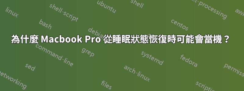 為什麼 Macbook Pro 從睡眠狀態恢復時可能會當機？