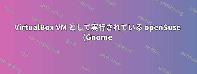 VirtualBox VM として実行されている openSuse (Gnome) の表示プロパティを構成する