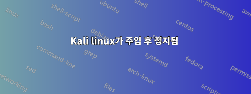 Kali linux가 주입 후 정지됨